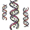 \includegraphics[]{images/dna.eps}