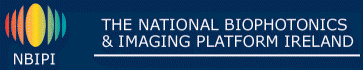 NBIP Logo
