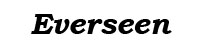 Everseen logo