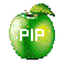 PIP